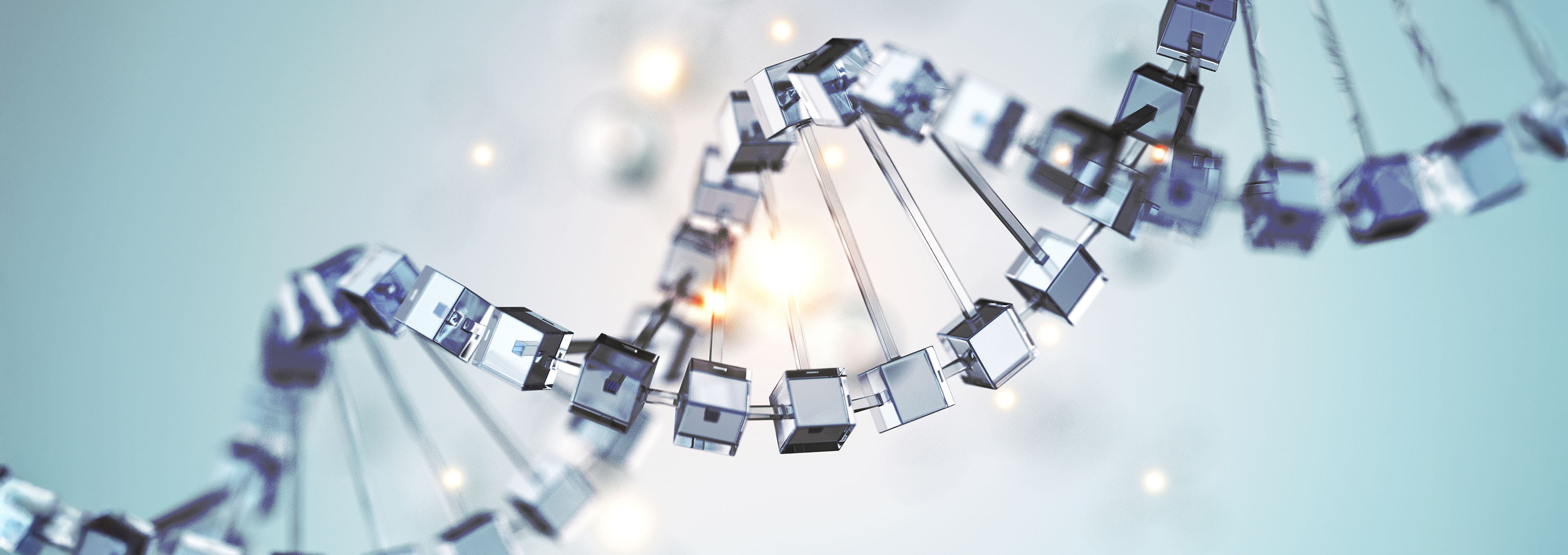 9 key questions for an effective family business transition